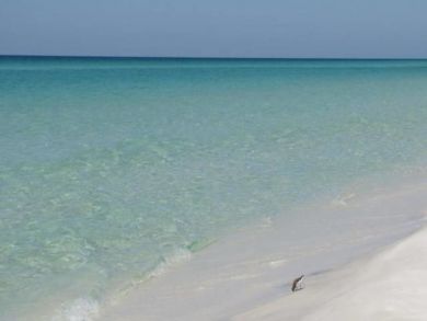 Beaches Of South Walton Condo 932714