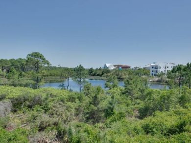 Beaches Of South Walton Condo 932722