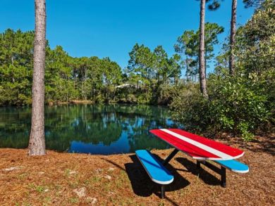 Beaches Of South Walton Home 932743