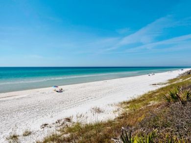Beaches Of South Walton Home 932743