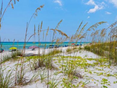 Beaches Of South Walton Condo 932747