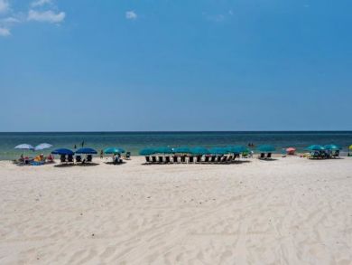 Beaches Of South Walton Condo 932747