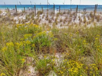 Beaches Of South Walton Condo 932752 Beaches Of South Walton Condo 932752