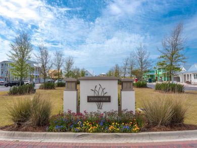 Beaches Of South Walton Home 932755