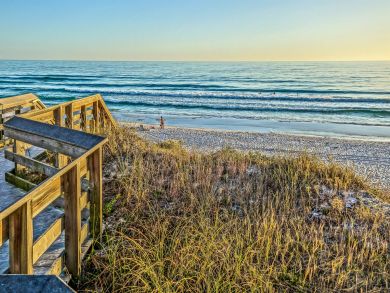 Beaches Of South Walton Home 932757