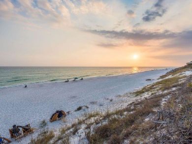 Beaches Of South Walton Home 932771