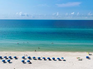 Beaches Of South Walton Condo 932780