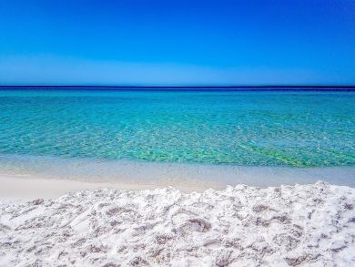 Beaches Of South Walton Home 932787