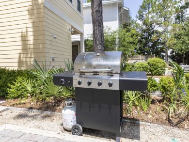 Beaches Of South Walton Home 932789