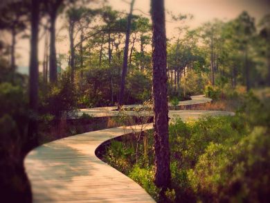 Beaches Of South Walton Home 932805