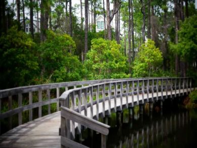 Beaches Of South Walton Home 932805