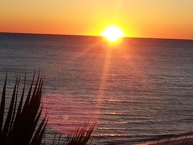 Beaches Of South Walton Home 932805