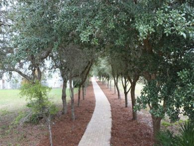 Beaches Of South Walton Home 932807