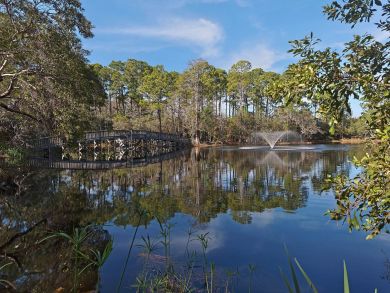 Beaches Of South Walton Condo 932821
