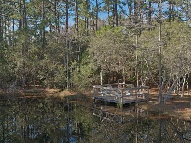 Beaches Of South Walton Condo 932821