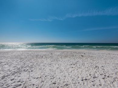 Beaches Of South Walton Condo 932821
