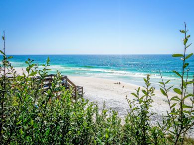 Beaches Of South Walton Home 932823