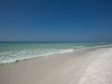 Beaches Of South Walton Condo 932826