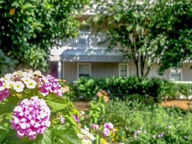 Beaches Of South Walton Condo 932853