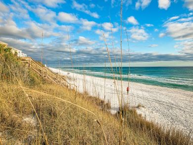 Beaches Of South Walton Condo 932856