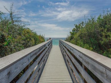 Beaches Of South Walton Condo 932856