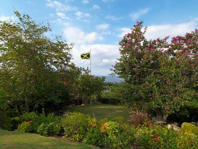 Jamaica Home 932859