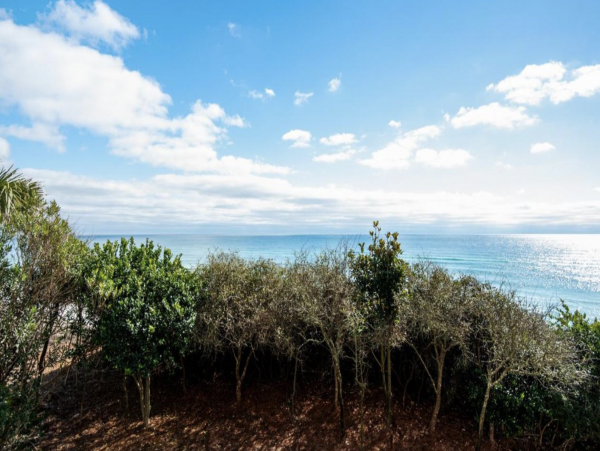 Seacrest Beach Luxury Vacation Condo