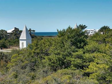 Beaches Of South Walton Condo 932881