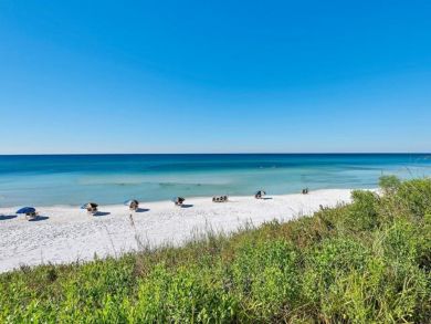 Beaches Of South Walton Condo 932888