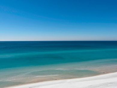 Beaches Of South Walton Condo 932920