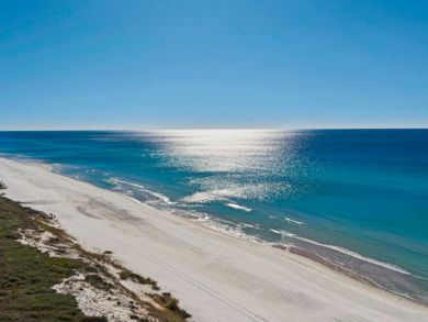 Beaches Of South Walton Condo 932920
