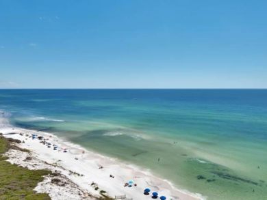 Beaches Of South Walton Condo 932922