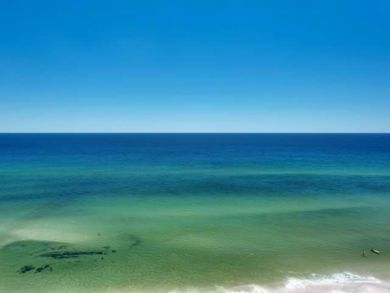 Beaches Of South Walton Condo 932922