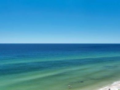 Beaches Of South Walton Condo 932922