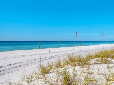 Beaches Of South Walton Condo 932946