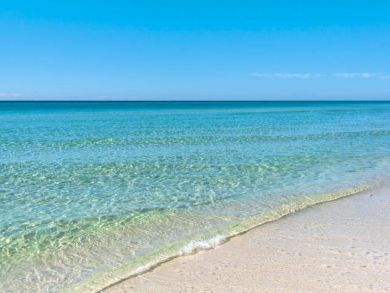 Beaches Of South Walton Condo 932946