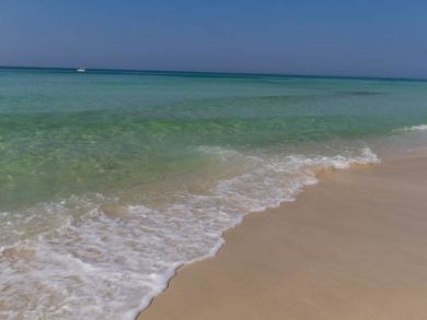 Beaches Of South Walton Condo 932964