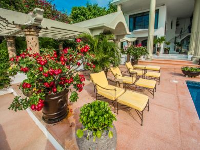 Acapulco Home 932990