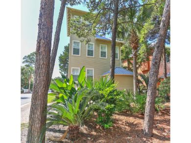 Beaches Of South Walton Home 933027