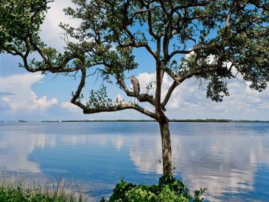 Anna Maria Island Holmes Beach Condo 933283