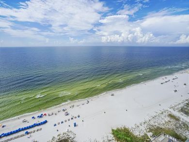 Panama City Beach Condo 933335