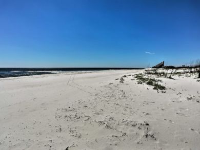 Pensacola Beach Home 933409
