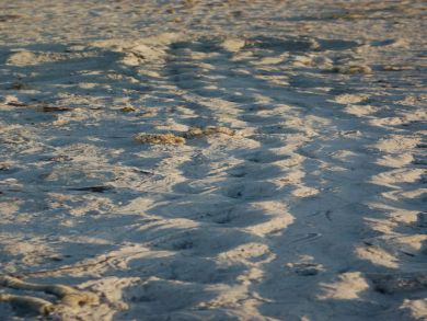Sanibel Home 933419
