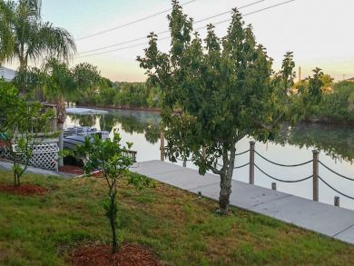 Clearwater Home 933445