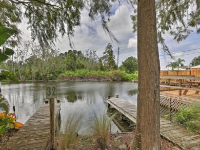Orlando Home 933469