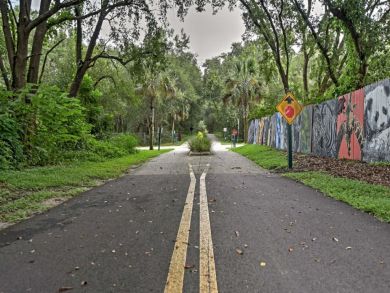 Orlando Home 933511