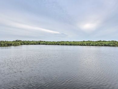 New Smyrna Beach Home 933513