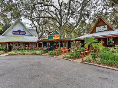 Orlando Home 933516
