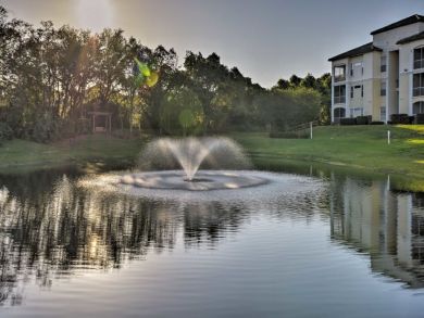 Orlando Home 933533