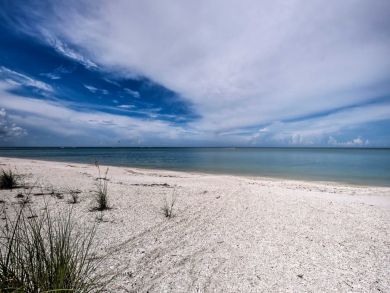 Bonita Springs Home 933564 Bonita Springs Home 933564